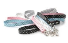 Silver Star Riem